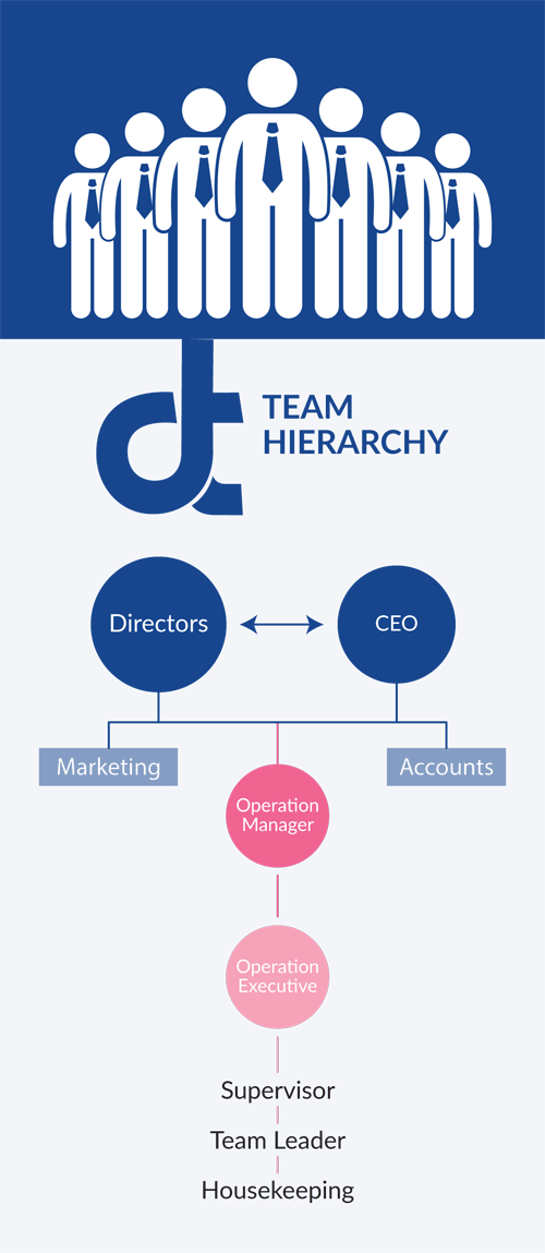 Our Team Structure